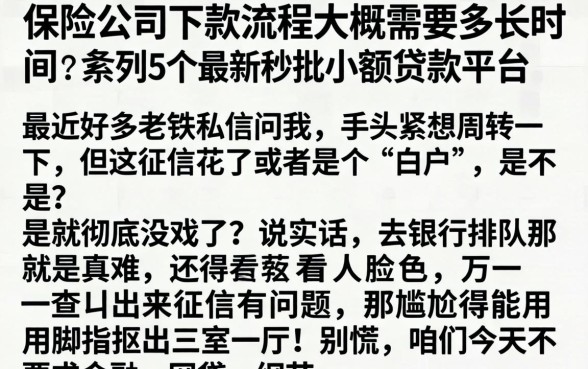 保险公司下款流程大概需要多长时间，条列5个最新秒批小额贷款平台