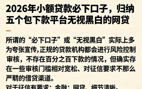 2026年小额贷款必下口子，归纳五个包下款平台无视黑白的网贷