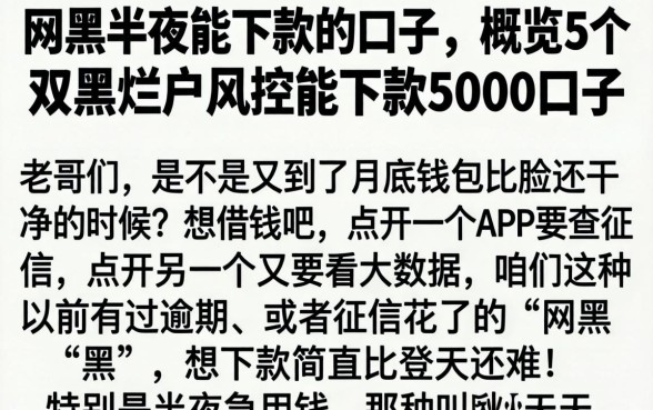网黑半夜能下款的口子，概览5个双黑烂户风控能下款5000口子
