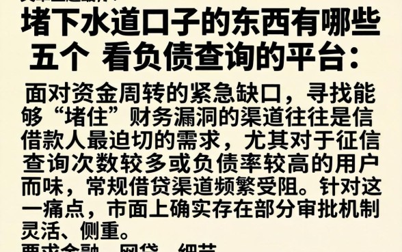 堵下水道口子的东西有哪些,细致阐述五个不看负债查询的平台