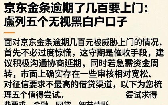 京东金条逾期了几百要上门，胪列五个无视黑白户口子