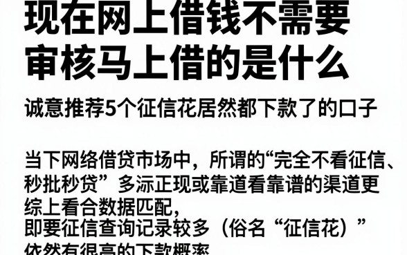现在网上借钱不需要审核马上借的是什么，诚意推荐5个征信花居然都下款了的口子