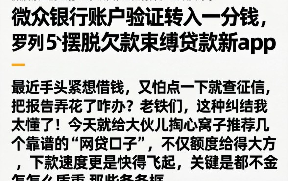 微众银行账户验证转入一分钱，罗列5个摆脱欠款束缚贷款新app