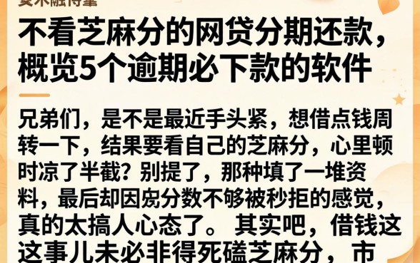不看芝麻分的网贷分期还款，概览5个逾期必下款的软件