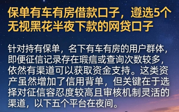 保单有车有房借款口子,遴选5个无视黑花半夜下款的网贷口子