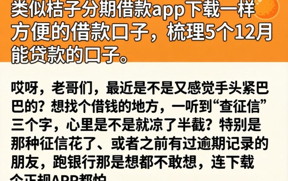 类似桔子分期借款app下载一样方便的借款口子，梳理5个12月能贷款的口子