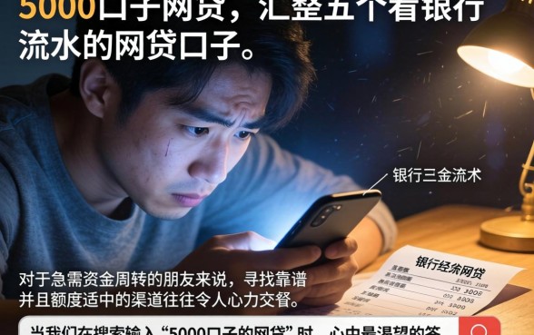 5000口子的网贷，汇整五个看银行流水的网贷口子