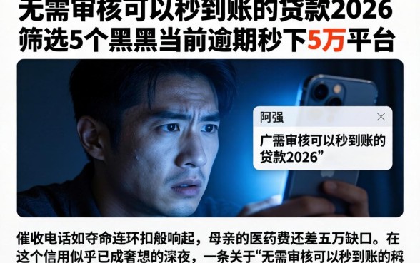 无需审核可以秒到账的贷款2026，筛选5个黑户当前逾期秒下5万平台