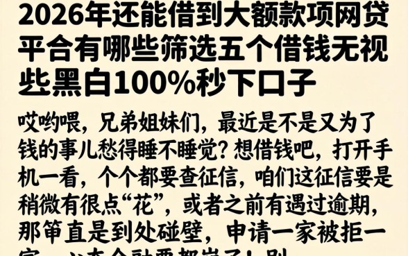 2026年还能借到大额款项的网贷平台有哪些，筛选五个借钱无视黑白100%秒下口子