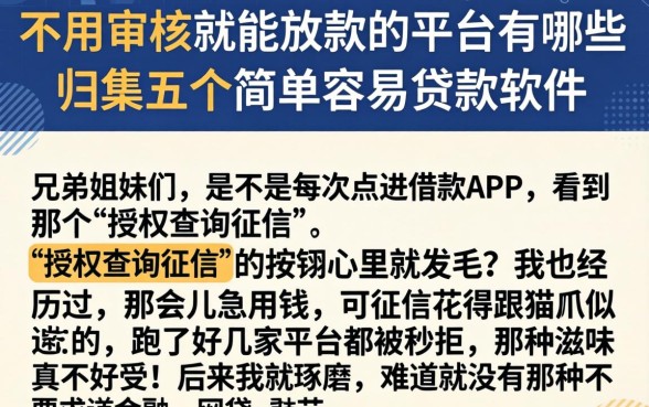 不用审核就能放款的平台有哪些，归集五个简单容易贷款软件
