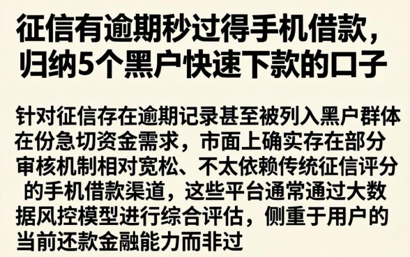 征信有逾期秒过得手机借款，归纳5个黑户快速下款的口子