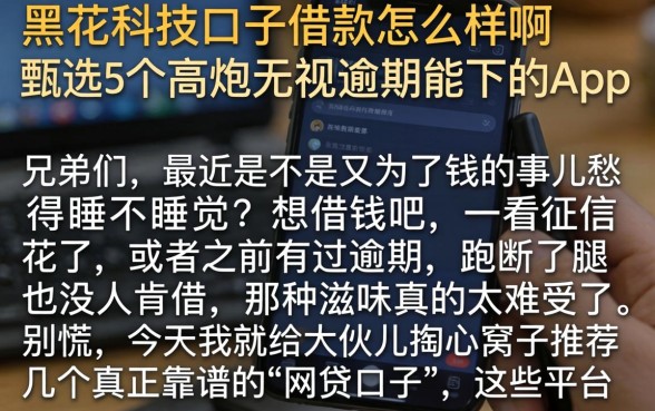 黑花科技口子借款怎么样啊,甄选5个高炮无视逾期能下的app