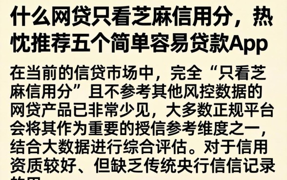 什么网贷只看芝麻信用分，热忱推荐五个简单容易贷款app