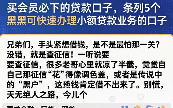 买会员必下的贷款口子，条列5个黑户可快速办理小额贷款业务的口子