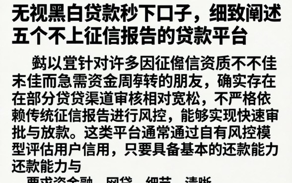 无视黑白贷款秒下口子，细致阐述五个不上征信报告的贷款平台