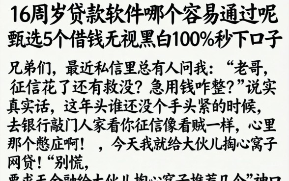 16周岁贷款软件哪个容易通过呢,甄选5个借钱无视黑白100%秒下口子