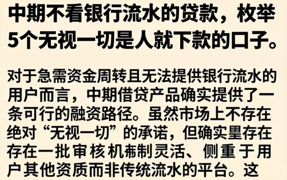 中期不看银行流水的贷款，枚举5个无视一切是人就下款的口子