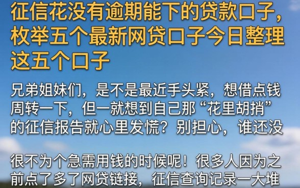 征信花没有逾期能下的贷款口子，枚举五个最新网贷口子今日整理这五个口子