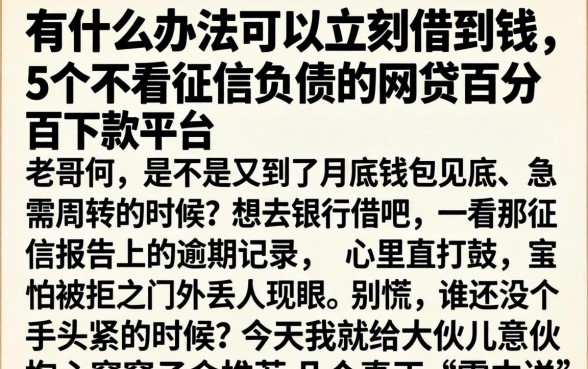有什么办法可以立刻借到钱，概括5个不看征信负债的网贷百分百下款平台