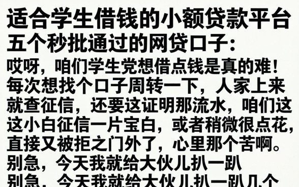 适合学生借钱的小额贷款平台，详细阐述五个秒批通过的网贷口子