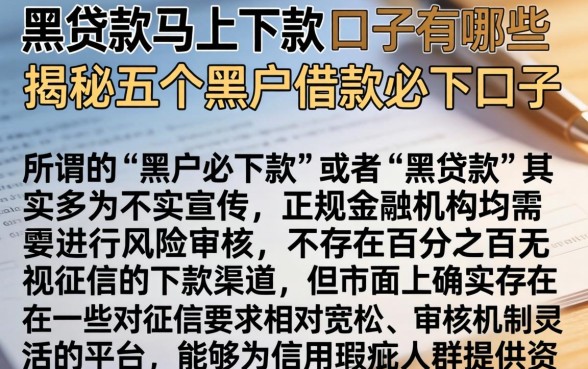黑贷款马上下款的口子有哪些，揭秘五个黑户借款必下口子