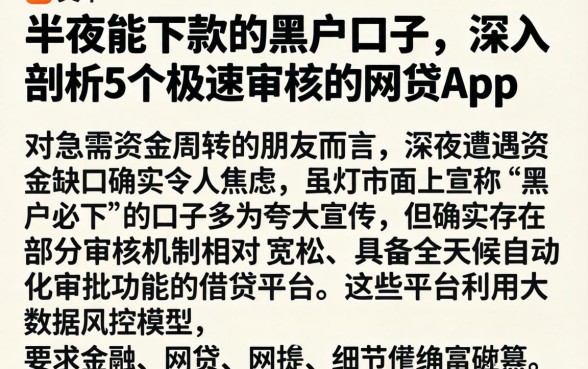 半夜能下款的黑户口子，深入剖析5个极速审核的网贷app