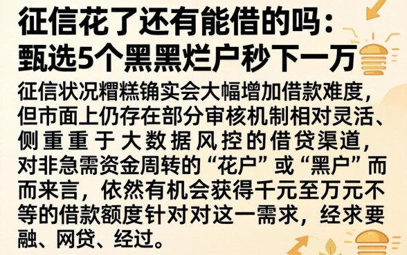 征信花了还有能借的吗，甄选5个黑户烂户秒下一万