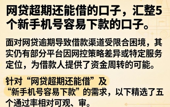 网贷超期还能借的口子，汇整5个新手机号容易下款的口子