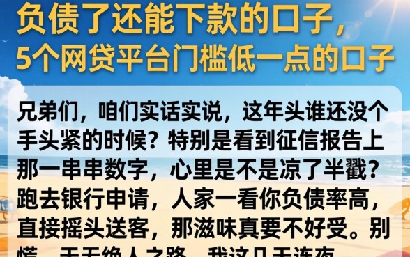 负债了还能下款的口子，概括5个网贷平台门槛低一点的口子