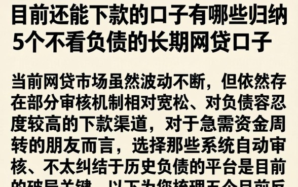 目前还能下款的口子有哪些，归纳5个不看负债的长期网贷口子
