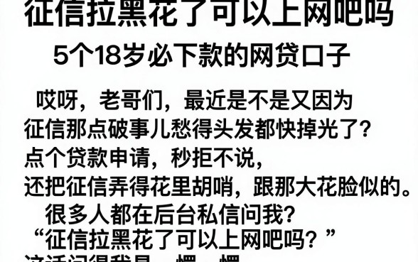 征信拉黑花了可以上网吧吗,规整5个18岁必下款的网贷口子