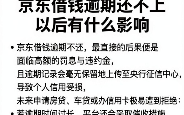 京东借钱逾期还不上以后有什么影响,汇整五个12月能贷款的口子