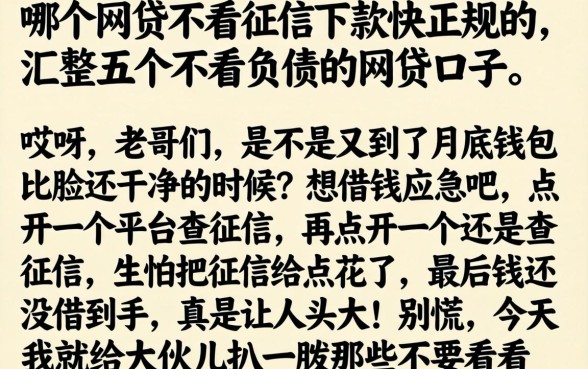 哪个网贷不看征信下款快正规的,汇整五个不看负债的网贷口子
