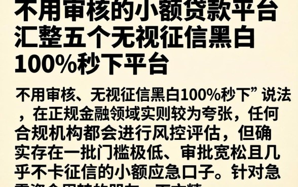 不用审核的小额贷款平台，汇整五个无视征信黑白100%秒下平台