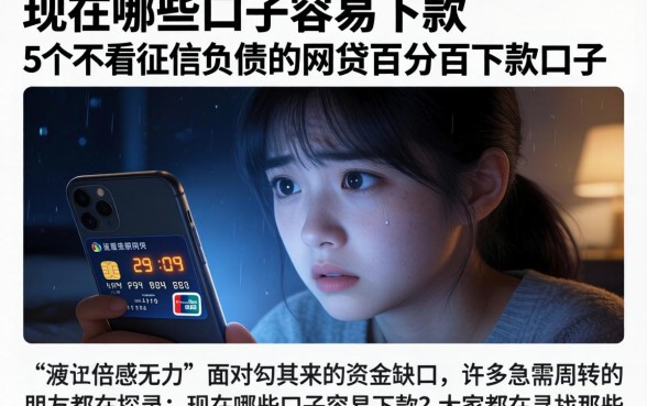 现在哪些口子容易下款，详尽说明5个不看征信负债的网贷百分百下款口子