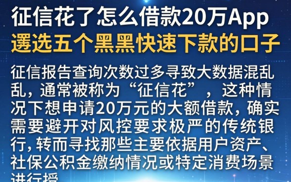 征信花了怎么借款20万app,遴选五个黑户快速下款的口子