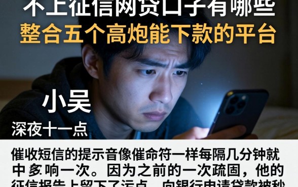 不上征信的网贷口子有哪些，整合五个高炮能下款的平台