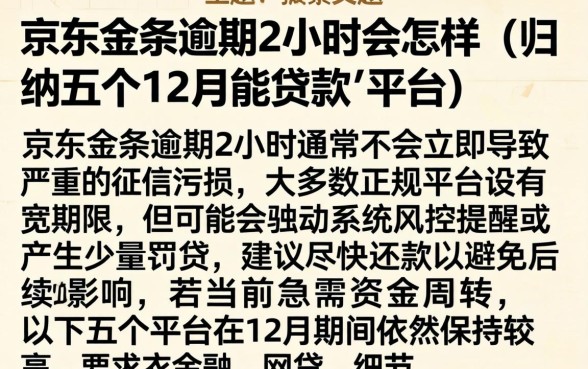 京东金条逾期2小时会怎样，归纳五个12月能贷款的平台