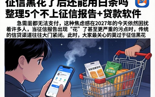 征信黑花了后还能用白条吗，整理5个不上征信报告的贷款软件