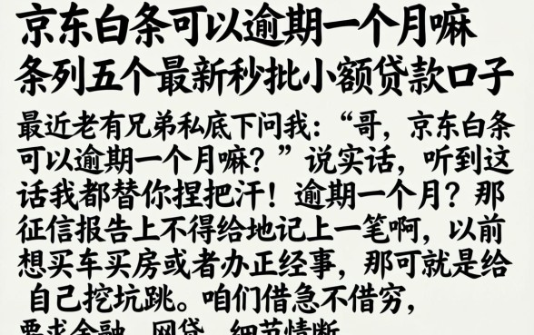 京东白条可以逾期一个月嘛，条列五个最新秒批小额贷款口子