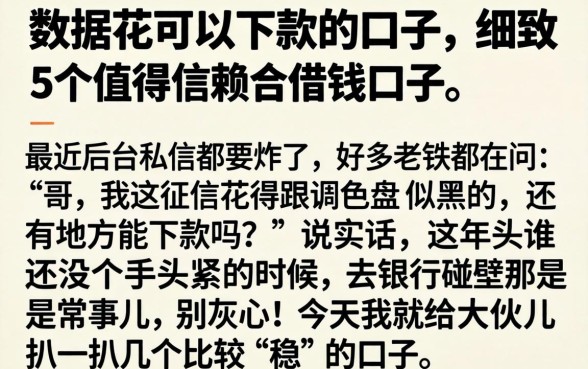 数据花可以下款的口子，细致阐述5个值得信赖的借钱口子