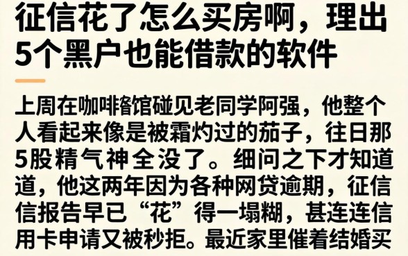 征信花了怎么买房啊，理出5个黑户也能借款的软件