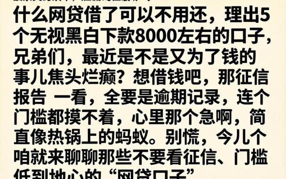 什么网贷借了可以不用还,理出5个无视黑白下款8000左右的口子