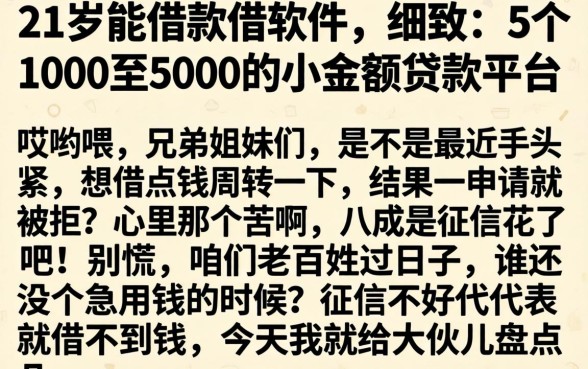 21岁能借款的软件，细致阐述5个1000至5000的小额贷款平台