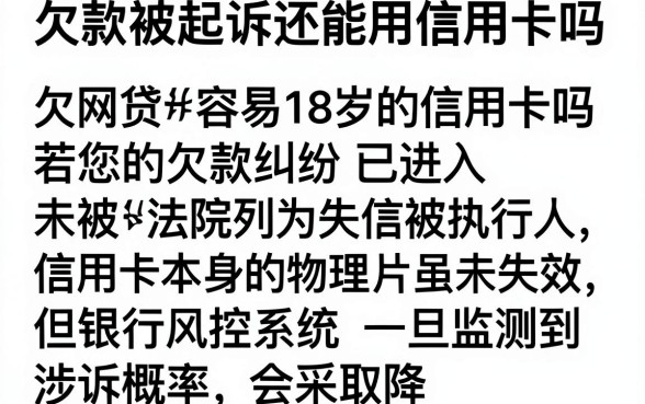 欠款被起诉还能用信用卡吗，陈列5个网贷容易下款18岁的口子