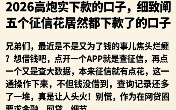 2026高炮实下款的口子，细致阐述五个征信花居然都下款了的口子