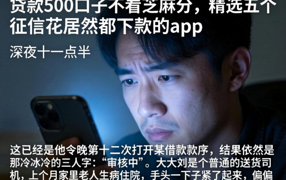 贷款500口子不看芝麻分，精选五个征信花居然都下款的app