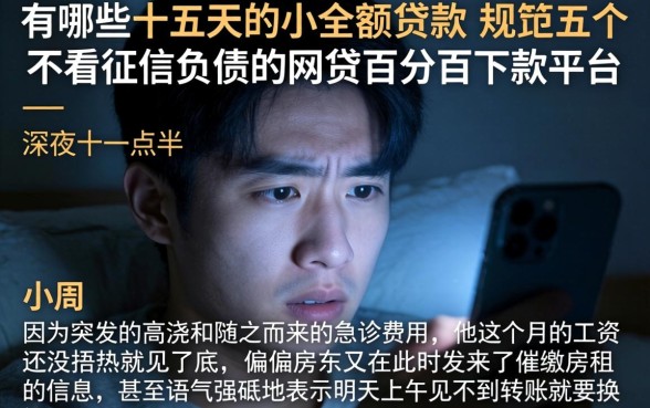 有哪些十五天的小额贷款，规整五个不看征信负债的网贷百分百下款平台