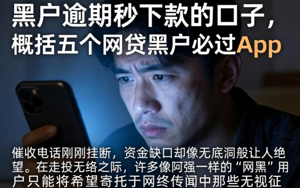 黑户逾期秒下款的口子，概括五个网贷黑户必过app