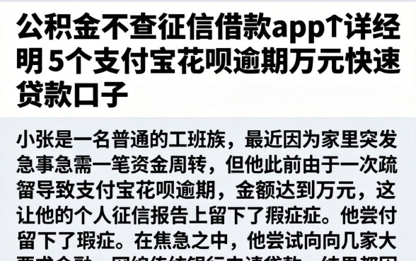 公积金不查征信借款app，详尽说明5个支付宝花呗逾期万元快速贷款口子